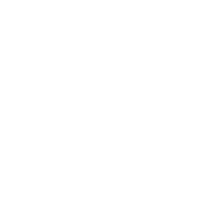 copy of squeaky